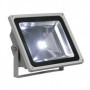 LED OUTDOOR BEAM, gris argent, 50W, 5700K, 100°, IP65