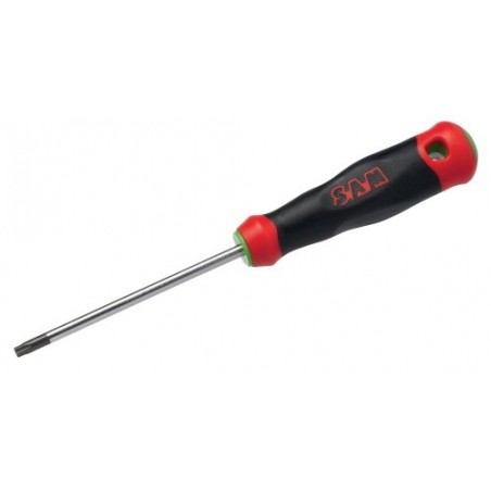 TOURNEVIS BI-MATIERE TORX T15 4X80 MM