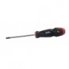 TOURNEVIS TORX N°10 75 MM