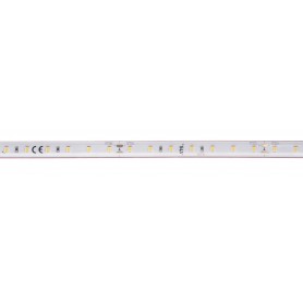 GRAZIA IP FLEXSTRIP, bandeau LED extérieur, 5 m, blanc, LED, 4000K, 700lm/m, IP54