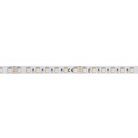 GRAZIA PRO FLEXSTRIP, bandeau LED intérieur, 5 m, 10 mm, blanc, RGBW