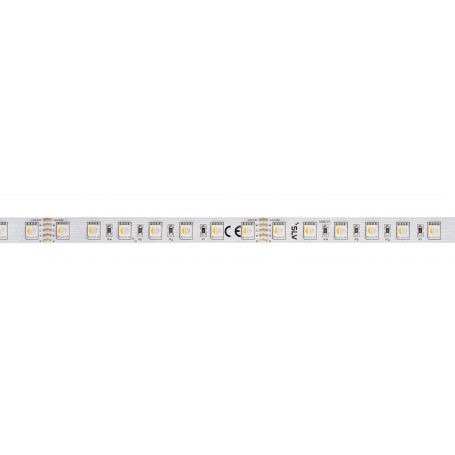 GRAZIA PRO FLEXSTRIP, bandeau LED intérieur, 5 m, 10 mm, blanc, RGBW