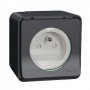 Mureva Styl - Prise de courant 2P+T a vis - saillie - IP55 - IK08 - gris - MUR36030 - Schneider Electric | GENMA