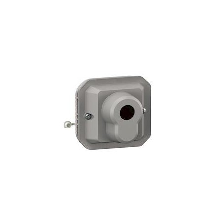 Interrupteur a cle Ronis 3 positions Plexo composable gris - 069535L - Legrand | GENMA