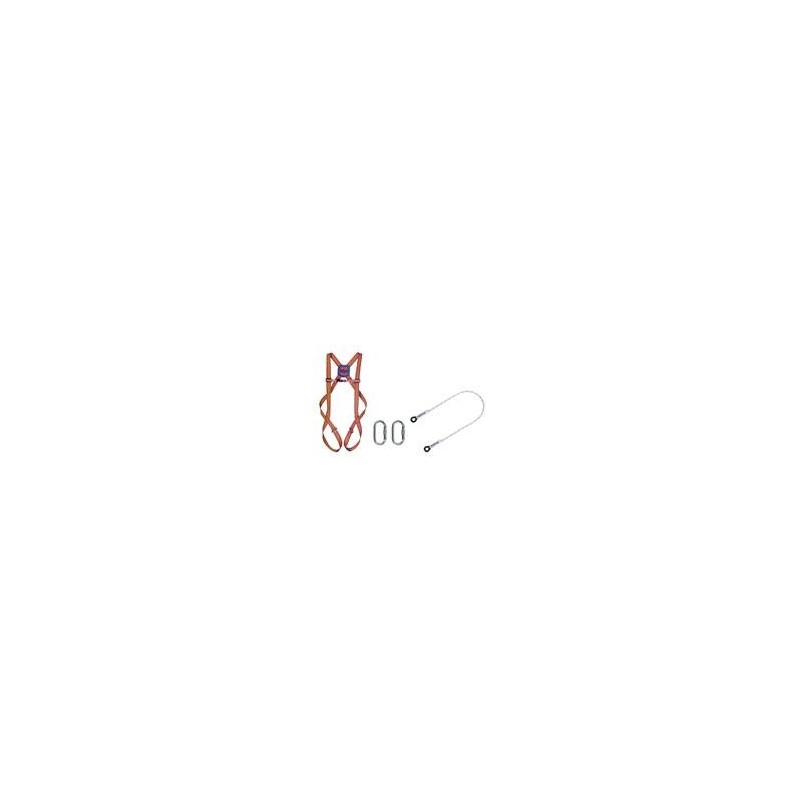 KIT 1 HARNAIS AVEC LONGE DE 1 M + 2 MOUSQUETONS - KIT_1 - VEPRO | G...